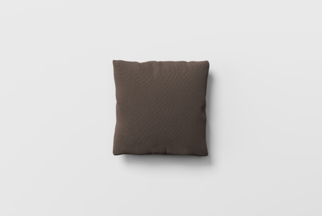 Throw Pillow 18″x18″