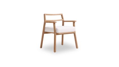Topanga Dining Arm Chair